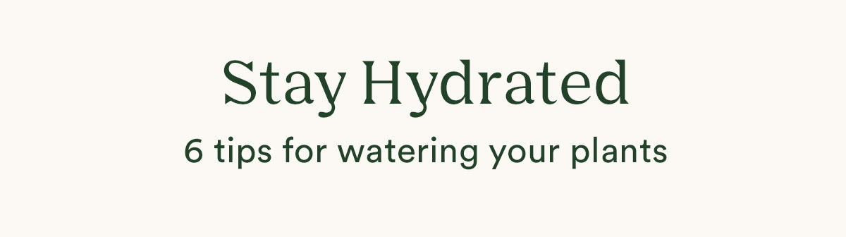 Keep your plants hydrated 