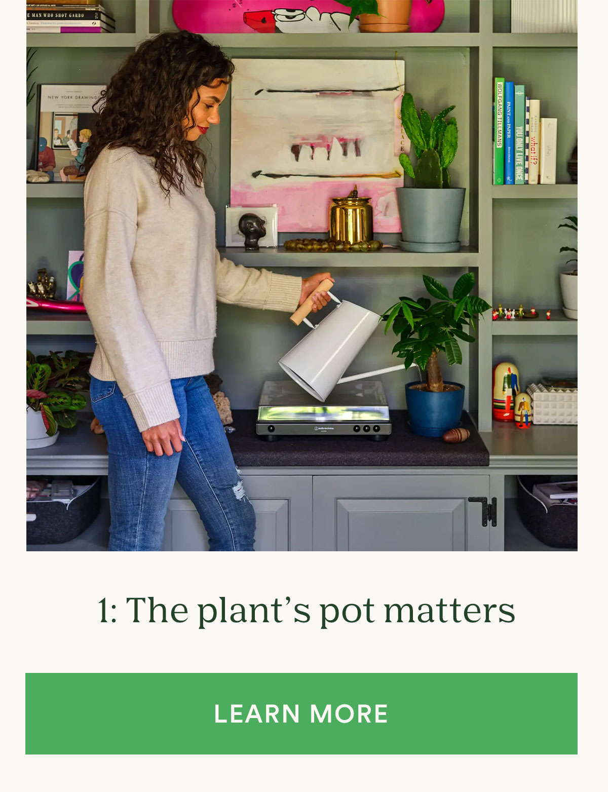 Tip 1: the plant's pot matters - learn more