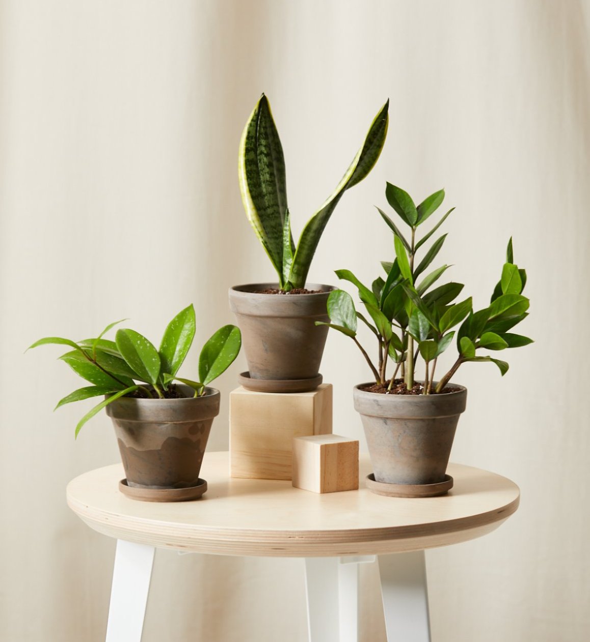 The tough stuff collection in basalt ceramic pots. 