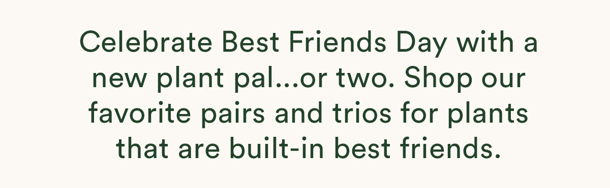 Our collections and bundles are built in best friends