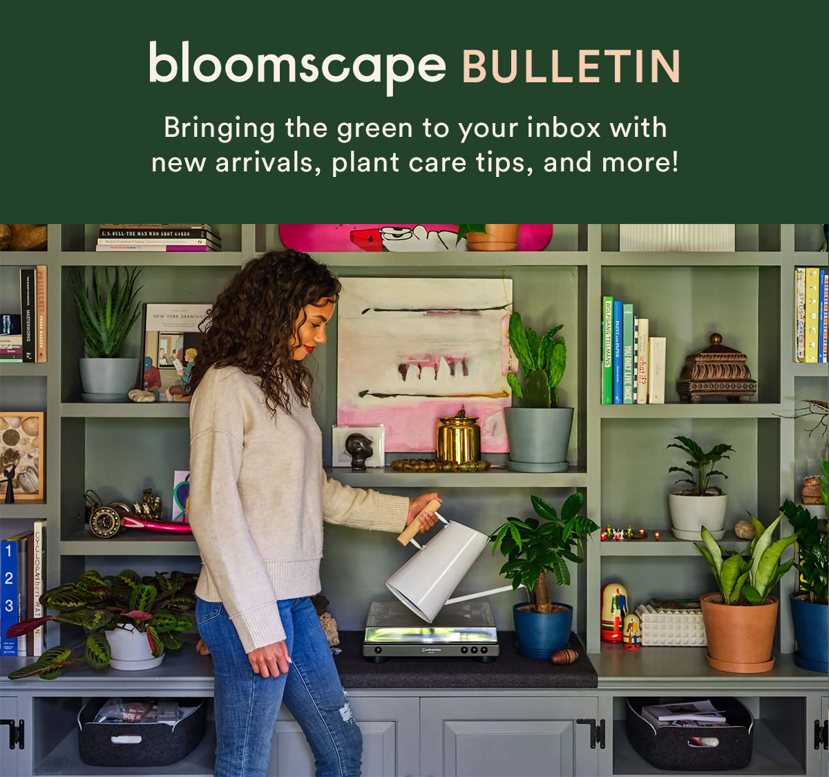 The Bloomscape Bulletin- what's new and now