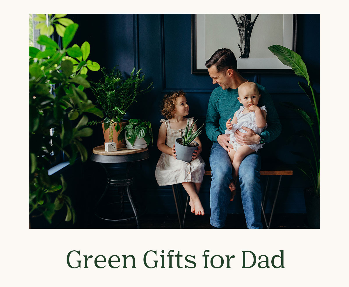 Shop Green Gifts for Dad