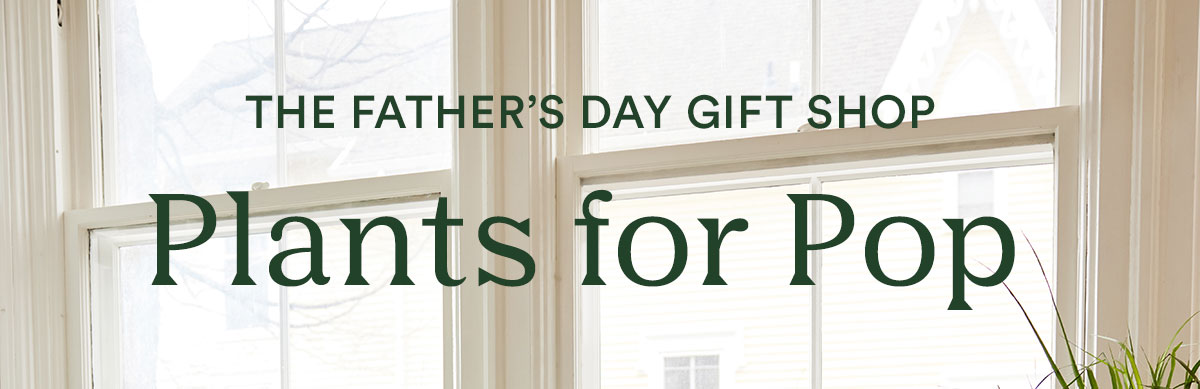 Now open: the Father's Day Gift Shop