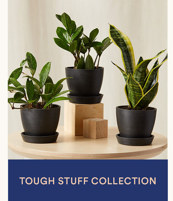 Shop Tough Stuff Collection
