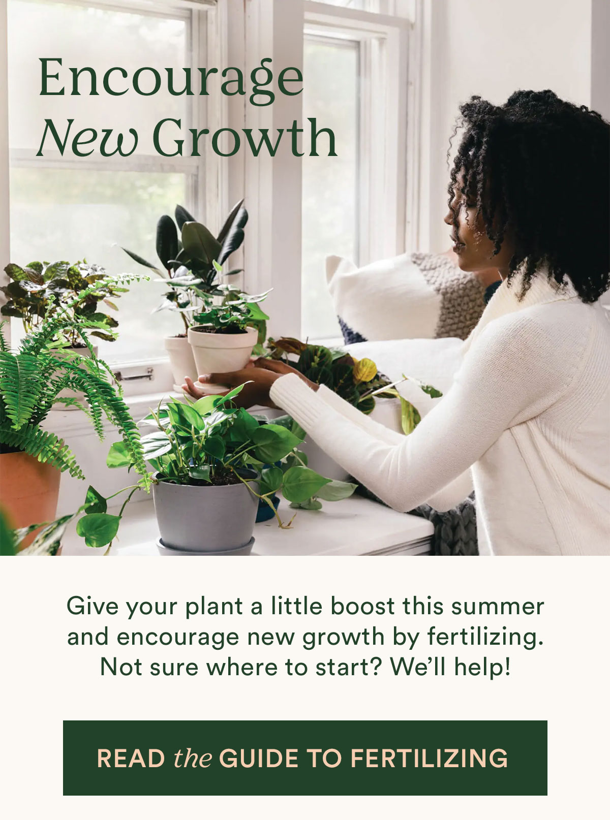 Read the fertilizer guide
