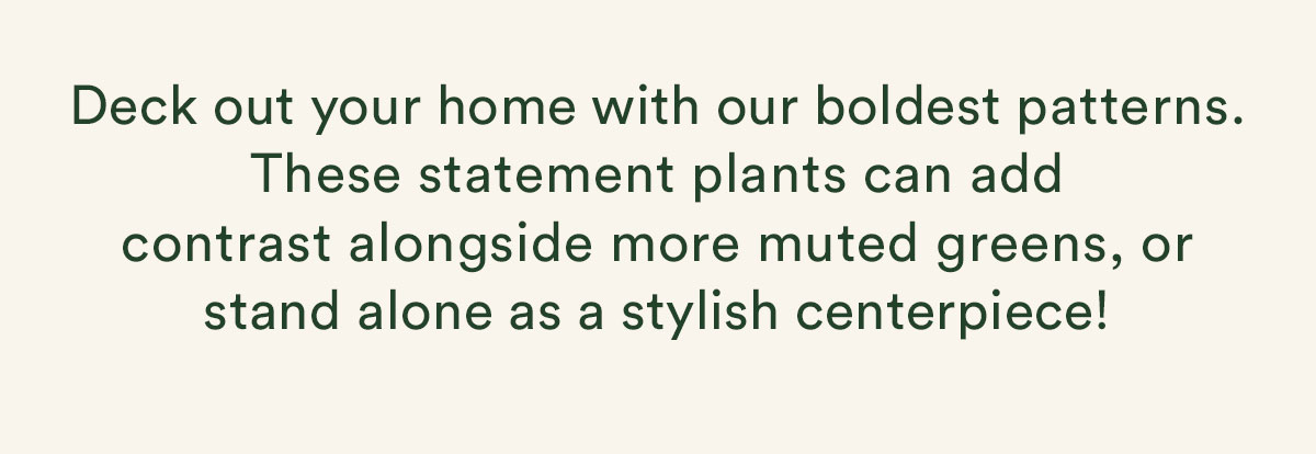 deck out your home in plants with bold patterns
