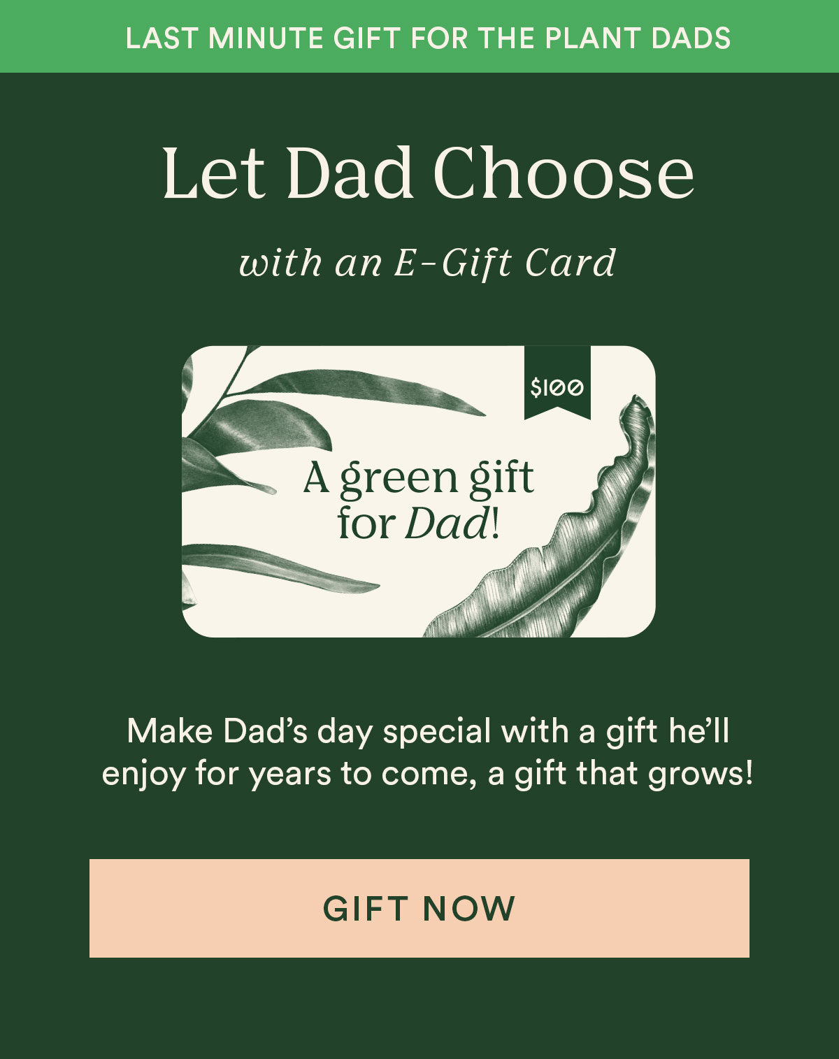 Shop e-gfit cards for Father's Day