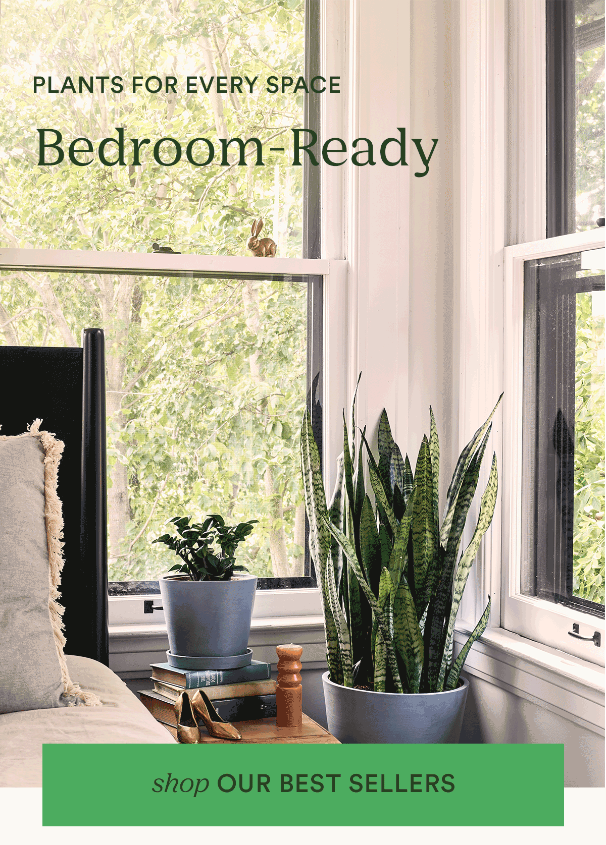 Read the summer plant care guide