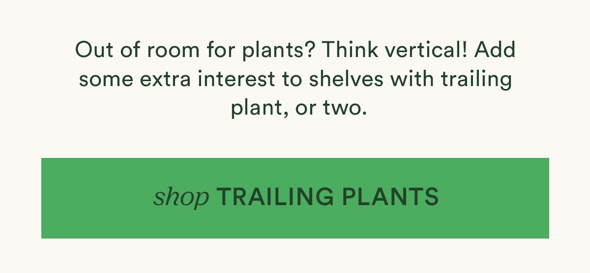 Read the summer plant care guide