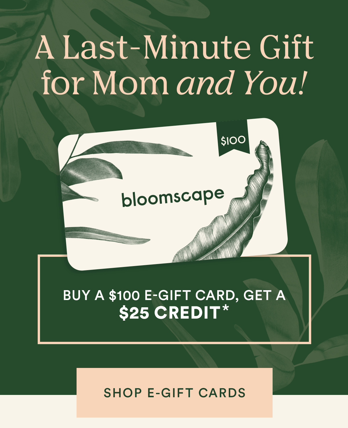 A Gift for Mom (and you!) Bloomscape