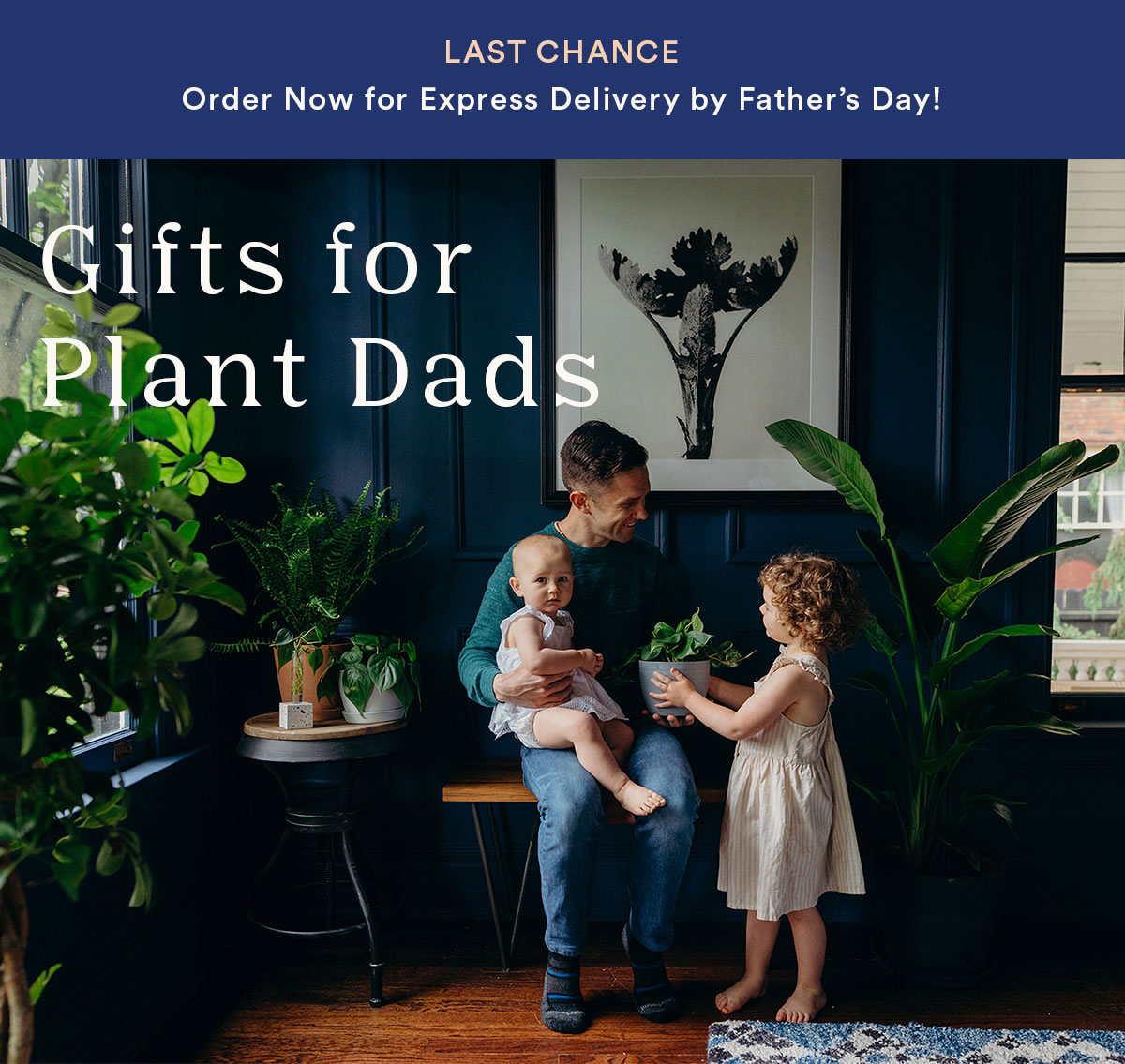 Shop Father's Day Gifts