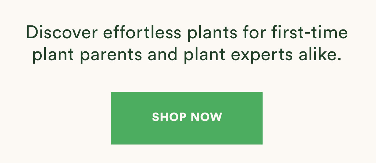 Plant Parents 🤝 EasyCare Plants Bloomscape