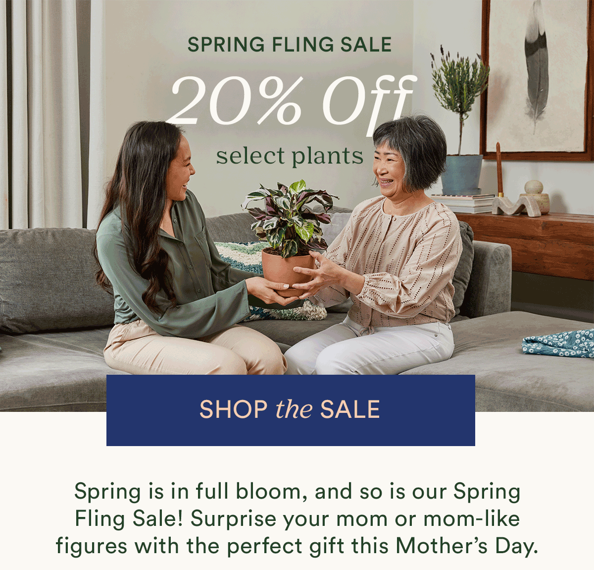 20 off ending soon 🌼 Bloomscape