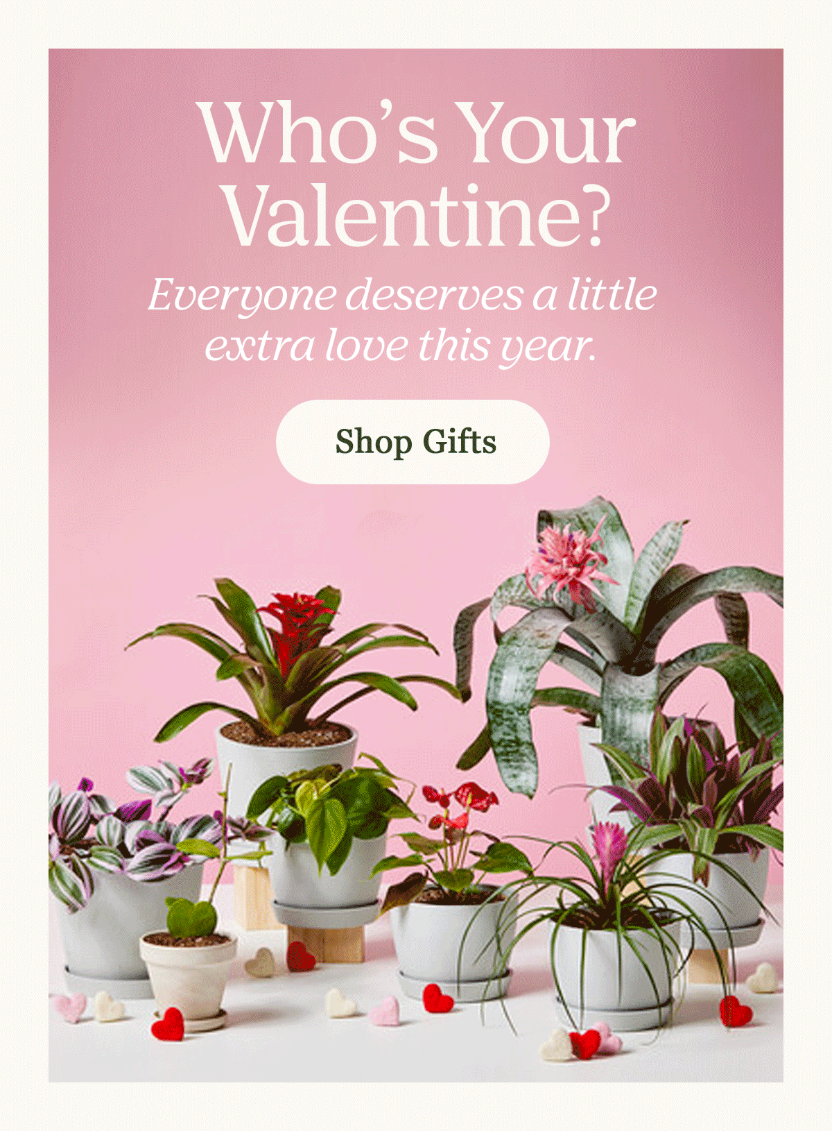 Shop Valentine Day Gifts