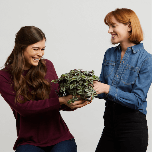 Gifts for Beginners