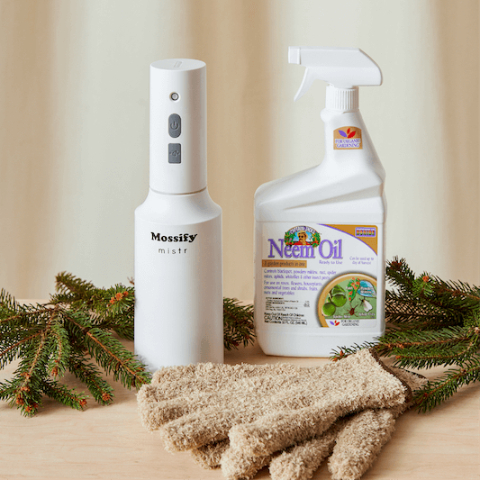 Plant Care Gifts