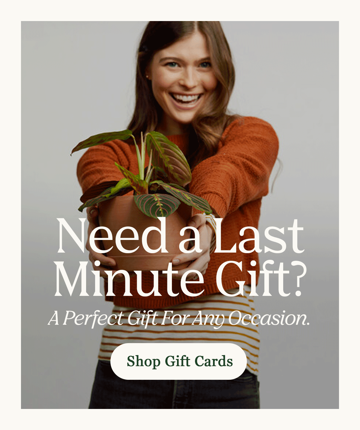 Need A Last Minute Gift?