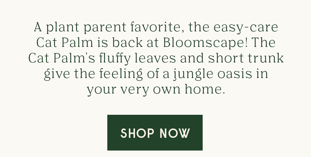 Meet the Cat Palm 😻 Bloomscape