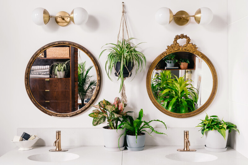Hanging Plants + Accessories