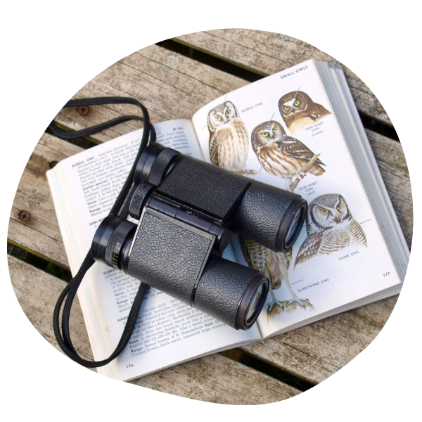 Birding book and binoculars