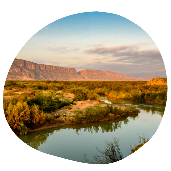 Texas landscape