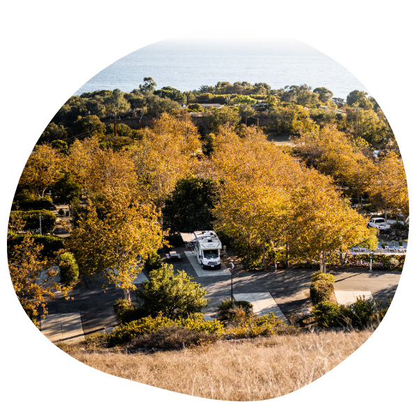 RV in the woods