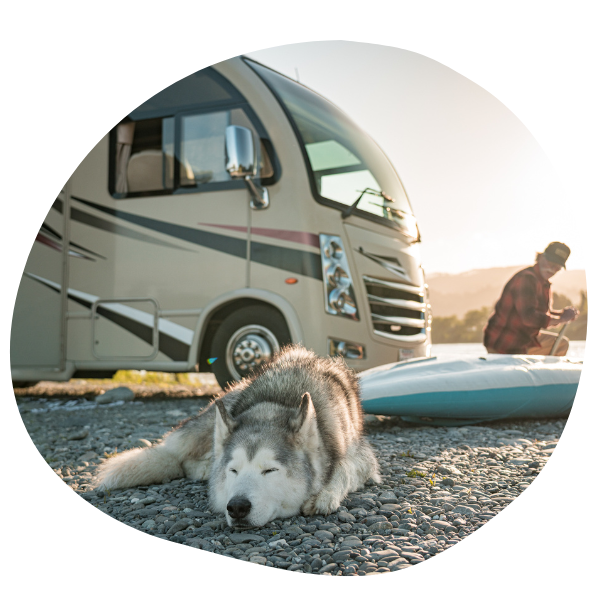 Man sitting on surf board next to RV and dog