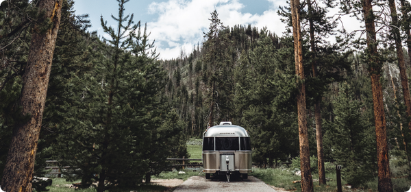Airstream in the woods