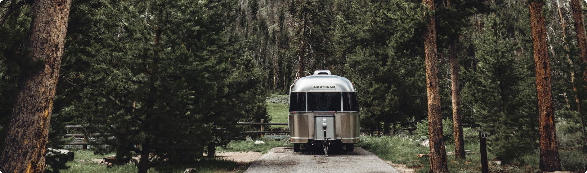 Airstream in the woods