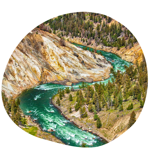 yellowstone%20%281%29.png
