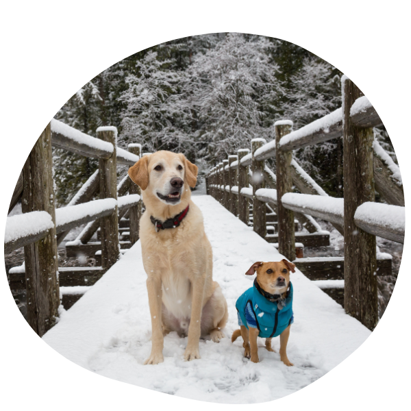 yosemite%20grandkids%20%28600%20x%20280%20px%29%20%28600%20x%20600%20px%29%20%286%29.png