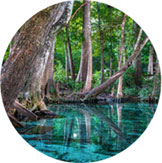 Ginnie Springs