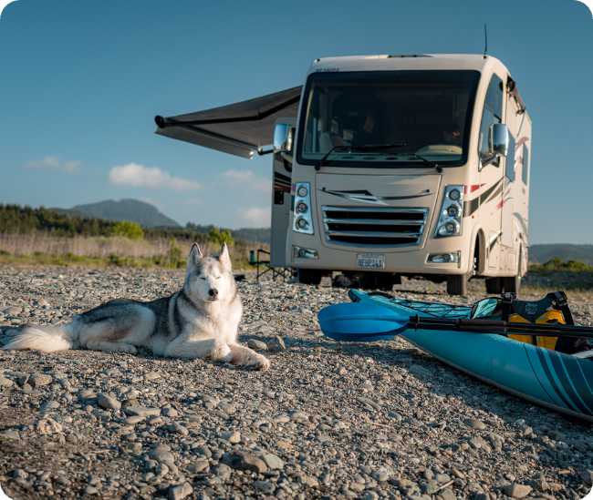 Dog sitting on person outside of RV