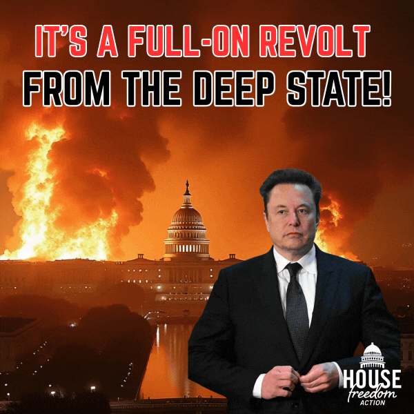HFA Elon Doge Revolt