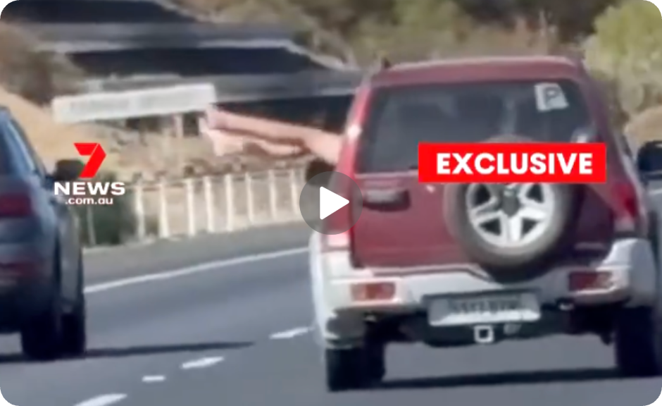 Video of the Day