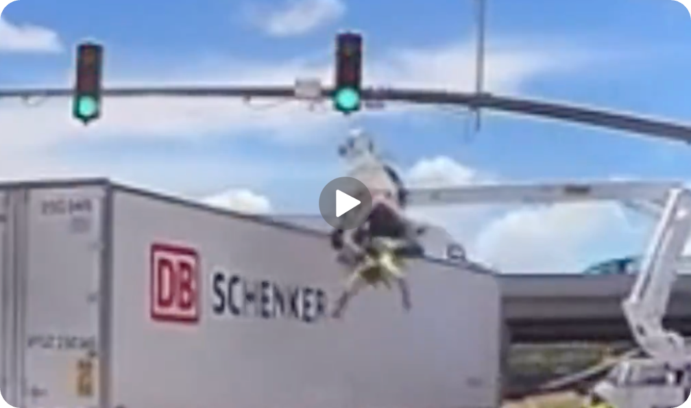 Video of the Day