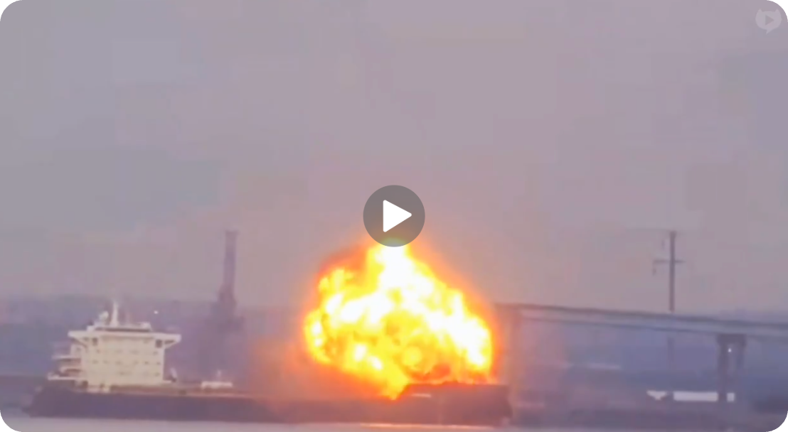 Video of the Day