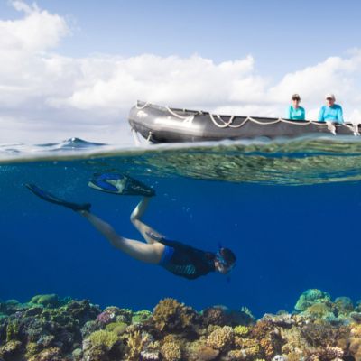 South Pacific Dreaming