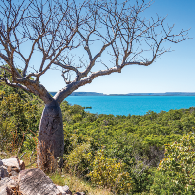 13-Day World Cruise: Western Australia & Indonesia