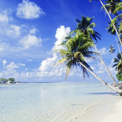 16-Day World Cruise: South Pacific Discovery
