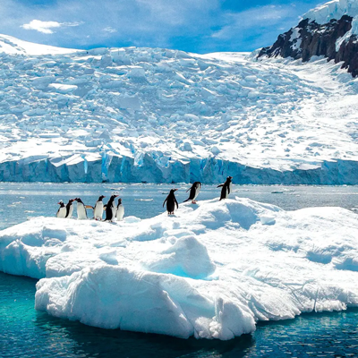 11-Day The Great White Continent