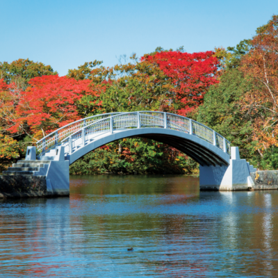 21-Day Pacific Passage & Jewels Of Japan