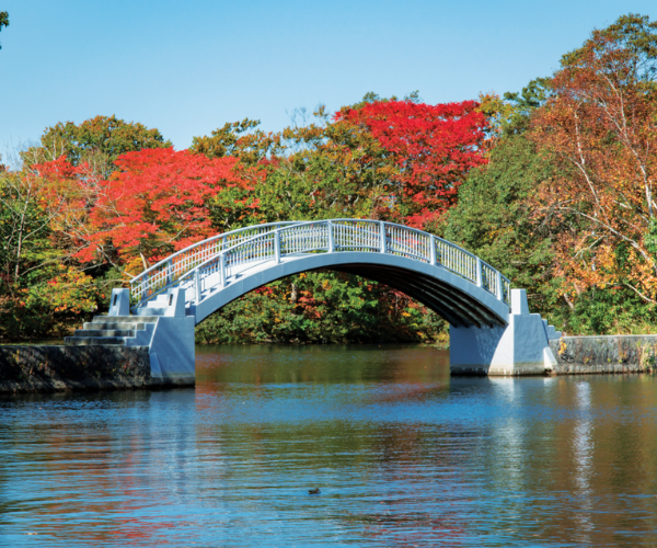 Hakodate