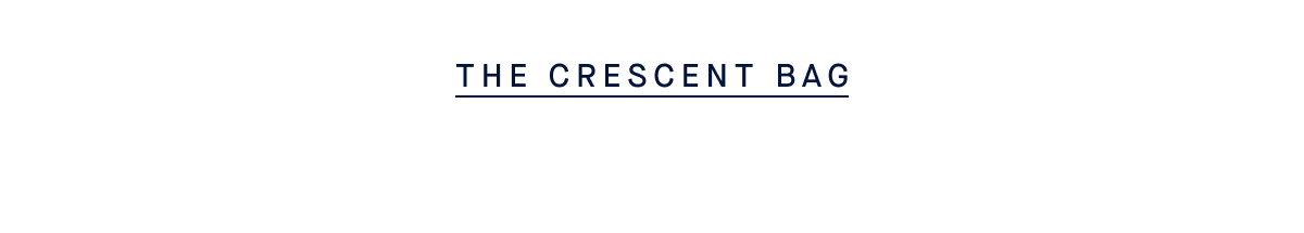 THE CRESCENT BAG