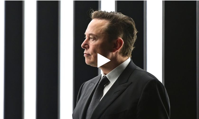 Turley Raises a Big Question about J6 Chansley Case, Then Elon Drops a Bombshell Video