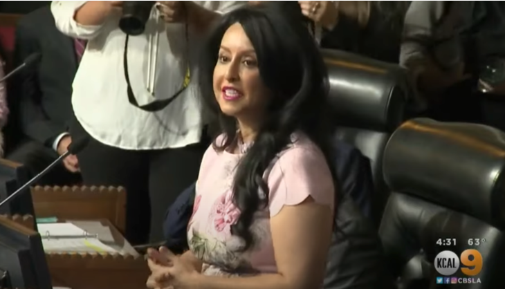 Leaked Audio Reveals Shocking Racist Slurs Thrown Around by LA City Council Members