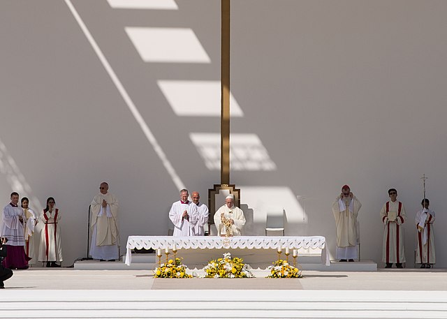 Pope Francis says Catholic Church banning priests from engaging in sex is 'temporary'