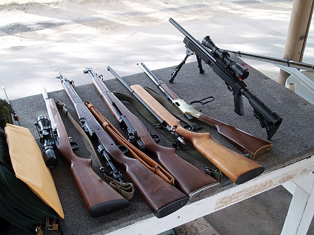 US Now A Majority Permitless Carry Country After DeSantis Signs Gun Rights Law