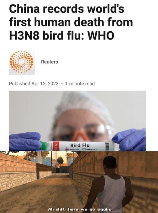 Bird Flu incoming...
