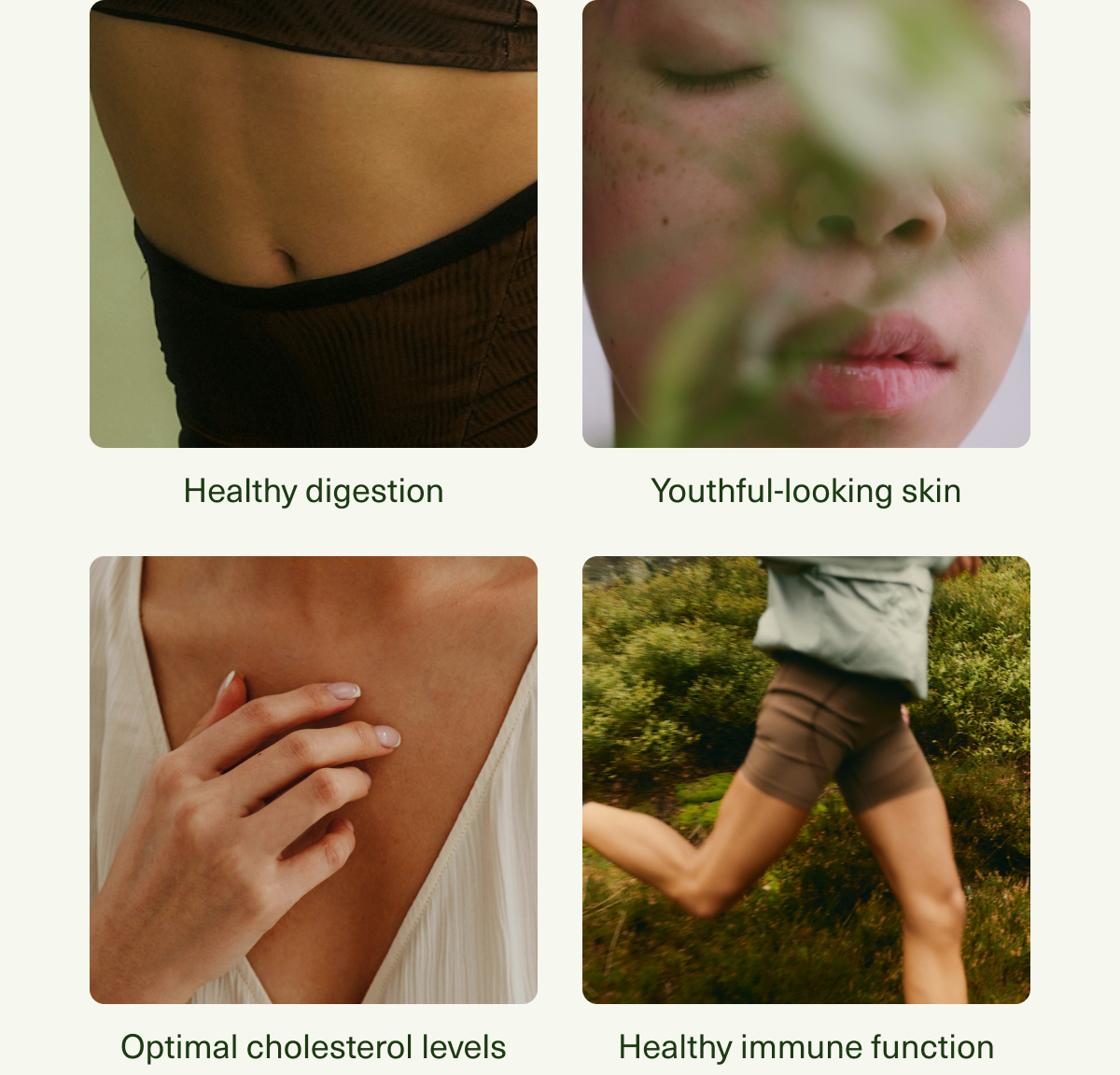 Healthy digestion | Youthful-looking skin | Optimal cholesterol levels | Healthy immune function